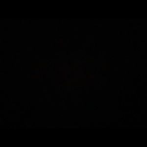 Meet your Posher, Augustine